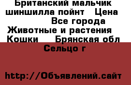 Британский мальчик шиншилла-пойнт › Цена ­ 5 000 - Все города Животные и растения » Кошки   . Брянская обл.,Сельцо г.